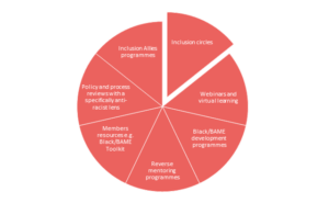 Pie chart showing our services to support anti-racism