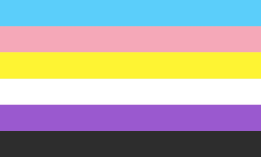 Transgender and nonbinary flag