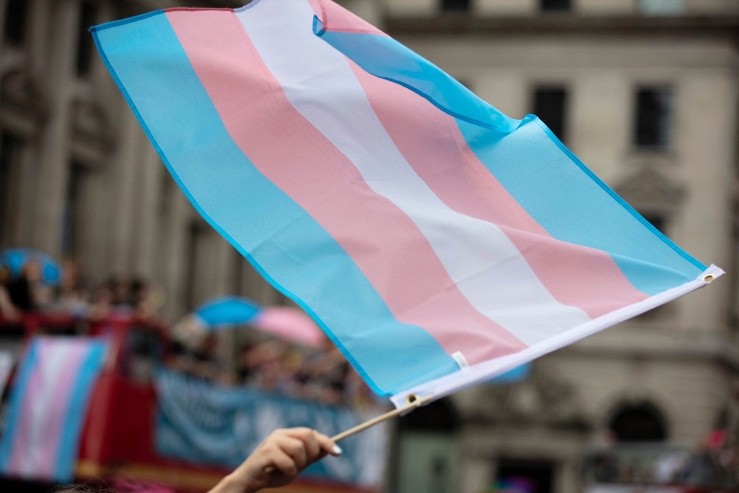 Someone holding a trans pride flag at a pride parade