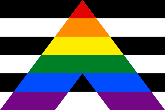 Here's What the Different LGBTQIA+ Flags Represent