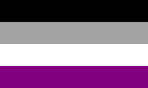 Image of the asexual flag, the flag is divided into 4 equal horizontal stripes. From the top the colours are black, gray, white and purple