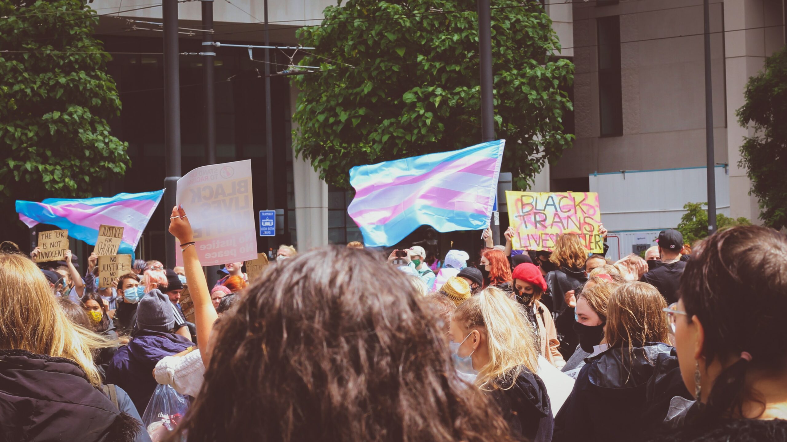 A crowd has gathered for a protest waving trans pride flags and holding trans inclusion signs