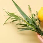 A hand is holding a palm, myrtle, willow and citron